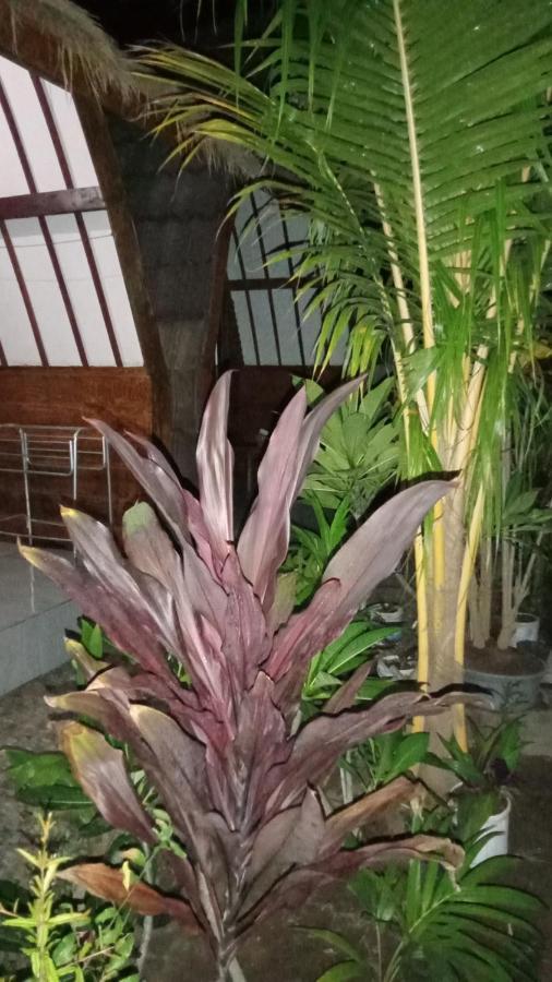 Mirna Homestay Gili Air Bagian luar foto